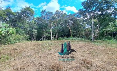 VENDO EL RANCHO Y LOTE DE 4217M2 ALTO BOQUETE