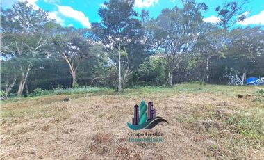 VENDO EL RANCHO Y LOTE DE 4217M2 ALTO BOQUETE