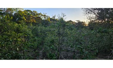 VENDO LOTE EN PALMIRA 2000 METROS