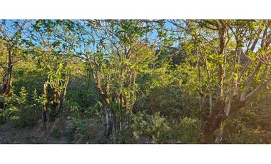 VENDO LOTE EN PALMIRA 2000 METROS