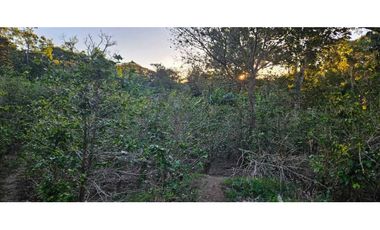 VENDO LOTE EN PALMIRA 2000 METROS