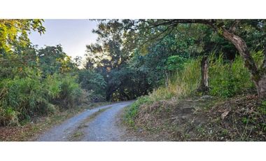 VENDO LOTE EN PALMIRA 2000 METROS