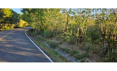 VENDO LOTE EN PALMIRA 2000 METROS