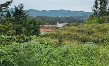 terreno en venta en la piedra del peÑol. Cod V5737