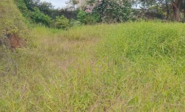 terreno en venta en la piedra del peÑol. Cod V5737