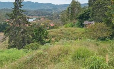 terreno en venta en la piedra del peÑol. Cod V5737