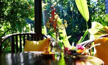 Beachfront Property in Bondalem North Bali