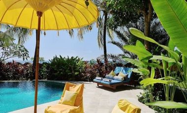 Beachfront Property in Bondalem North Bali