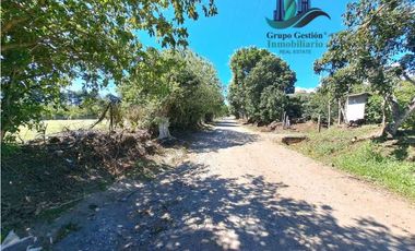 VENDO 19814M2 CON DOS FRENTE DE CALLE PALMIRA