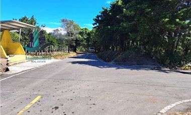 VENDO 19814M2 CON DOS FRENTE DE CALLE PALMIRA