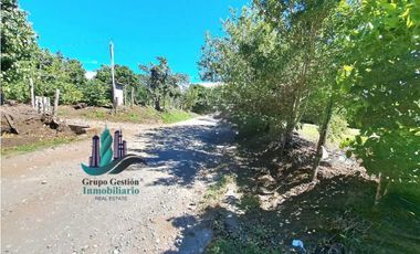 VENDO 19814M2 CON DOS FRENTE DE CALLE PALMIRA