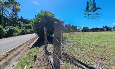 VENDO 19814M2 CON DOS FRENTE DE CALLE PALMIRA