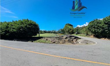 VENDO 19814M2 CON DOS FRENTE DE CALLE PALMIRA