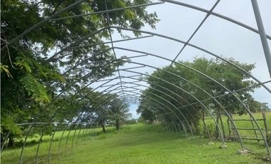 Se Vende Finca Ganadera 73 Ha Chiriquí las lajas a USD$10,000,oo Ha