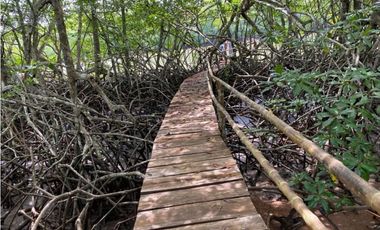 Se Vende Finca Ganadera 73 Ha Chiriquí las lajas a USD$10,000,oo Ha