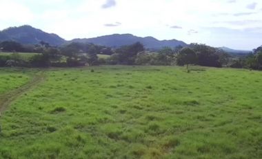 Se Vende Finca Ganadera 73 Ha Chiriquí las lajas a USD$10,000,oo Ha