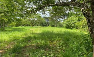 Se Vende Finca Ganadera 73 Ha Chiriquí las lajas a USD$10,000,oo Ha
