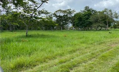 Se Vende Finca Ganadera 73 Ha Chiriquí las lajas a USD$10,000,oo Ha