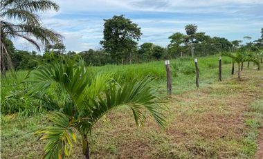 Se Vende Finca Ganadera 73 Ha Chiriquí las lajas a USD$10,000,oo Ha