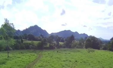 Se Vende Finca Ganadera 73 Ha Chiriquí las lajas a USD$10,000,oo Ha
