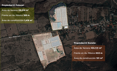 Terreno en venta Petacal, Jalisco
