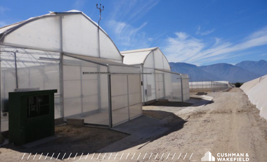 Terreno en venta Petacal, Jalisco