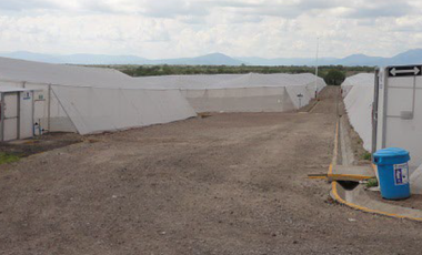 Terreno en venta Petacal, Jalisco