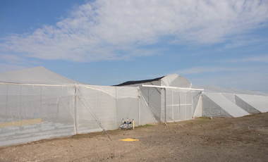 Terreno en venta Petacal, Jalisco