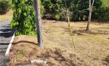 LOTES EN VENTA TOTAL DE 1000M2 EN PACORA UTIVE
