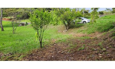 LOTES EN VENTA TOTAL DE 1000M2 EN PACORA UTIVE