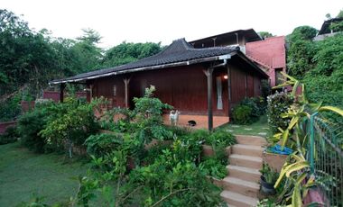 For sale or Leasehold 20 years villa at Batubulan Bali