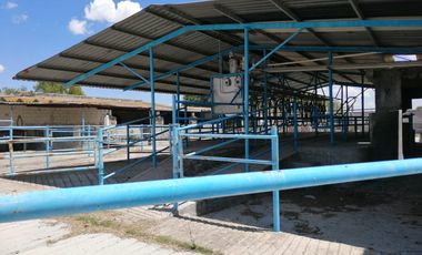 Rancho en VENTA cerca de Polotitlán Querétaro - Precio de Remate
