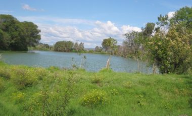 Rancho en VENTA cerca de Polotitlán Querétaro - Precio de Remate