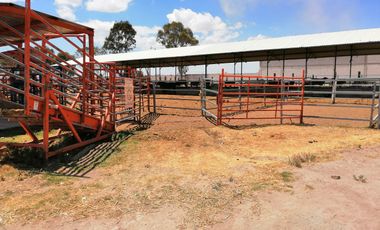 Rancho en VENTA cerca de Polotitlán Querétaro - Precio de Remate