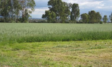 Rancho en VENTA cerca de Polotitlán Querétaro - Precio de Remate