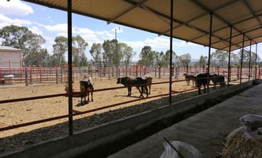 Rancho en VENTA cerca de Polotitlán Querétaro - Precio de Remate