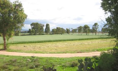 Rancho en VENTA cerca de Polotitlán Querétaro - Precio de Remate