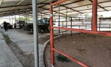 Rancho en VENTA cerca de Polotitlán Querétaro - Precio de Remate