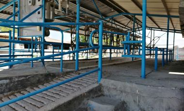 Rancho en VENTA cerca de Polotitlán Querétaro - Precio de Remate