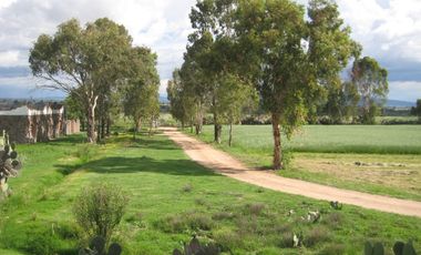 Rancho en VENTA cerca de Polotitlán Querétaro - Precio de Remate