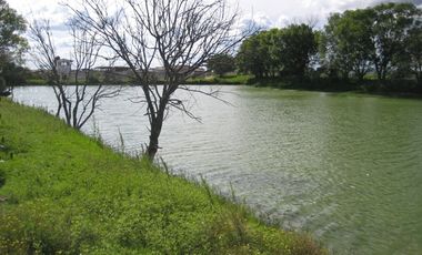 Rancho en VENTA cerca de Polotitlán Querétaro - Precio de Remate