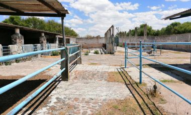 Rancho en VENTA cerca de Polotitlán Querétaro - Precio de Remate
