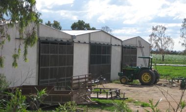 Rancho en VENTA cerca de Polotitlán Querétaro - Precio de Remate