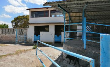 Rancho en VENTA cerca de Polotitlán Querétaro - Precio de Remate