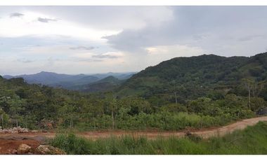 VENTA DE FINCA EN COCLE DEL NORTE