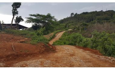 VENTA DE FINCA EN COCLE DEL NORTE