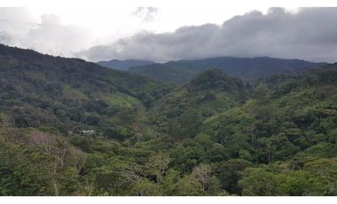 VENTA DE FINCA EN COCLE DEL NORTE