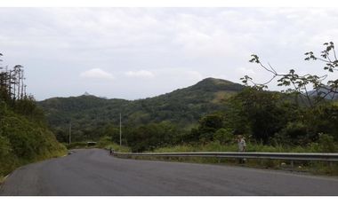 VENTA DE FINCA EN COCLE DEL NORTE