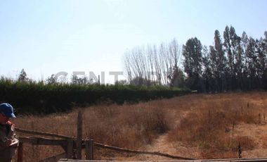 Se vende parcela de agrado en Paine