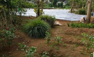 Tanah Kebun Bentuk Kotak Bagus Untuk Villa Cikole Lembang Bandung Barat